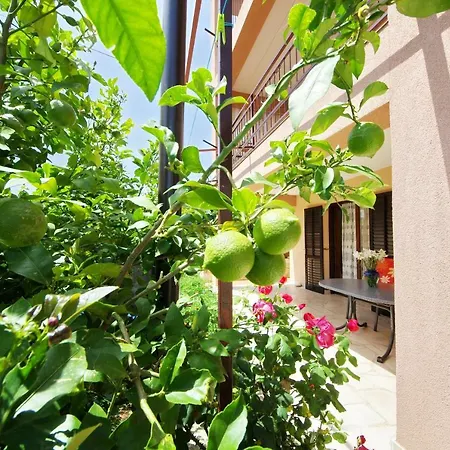 Apartment Vitali